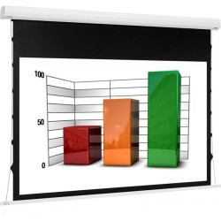 Electric screens Euroscreen Diplomat: 1.25 - 3m