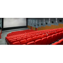 Elektriskie ekrāni Euroscreen Odin: 6 - 7,5 m