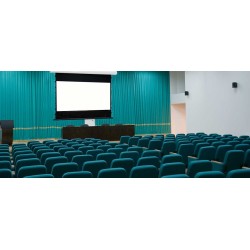Electric screens Euroscreen Thor: 2.5 - 4.25m